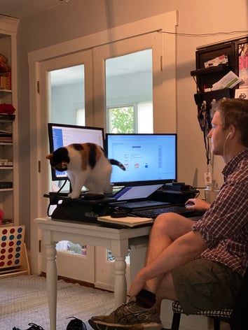 "A person working from a standing desk in a repurposed home nook, with a cat walking across the keyboard between two monitors."