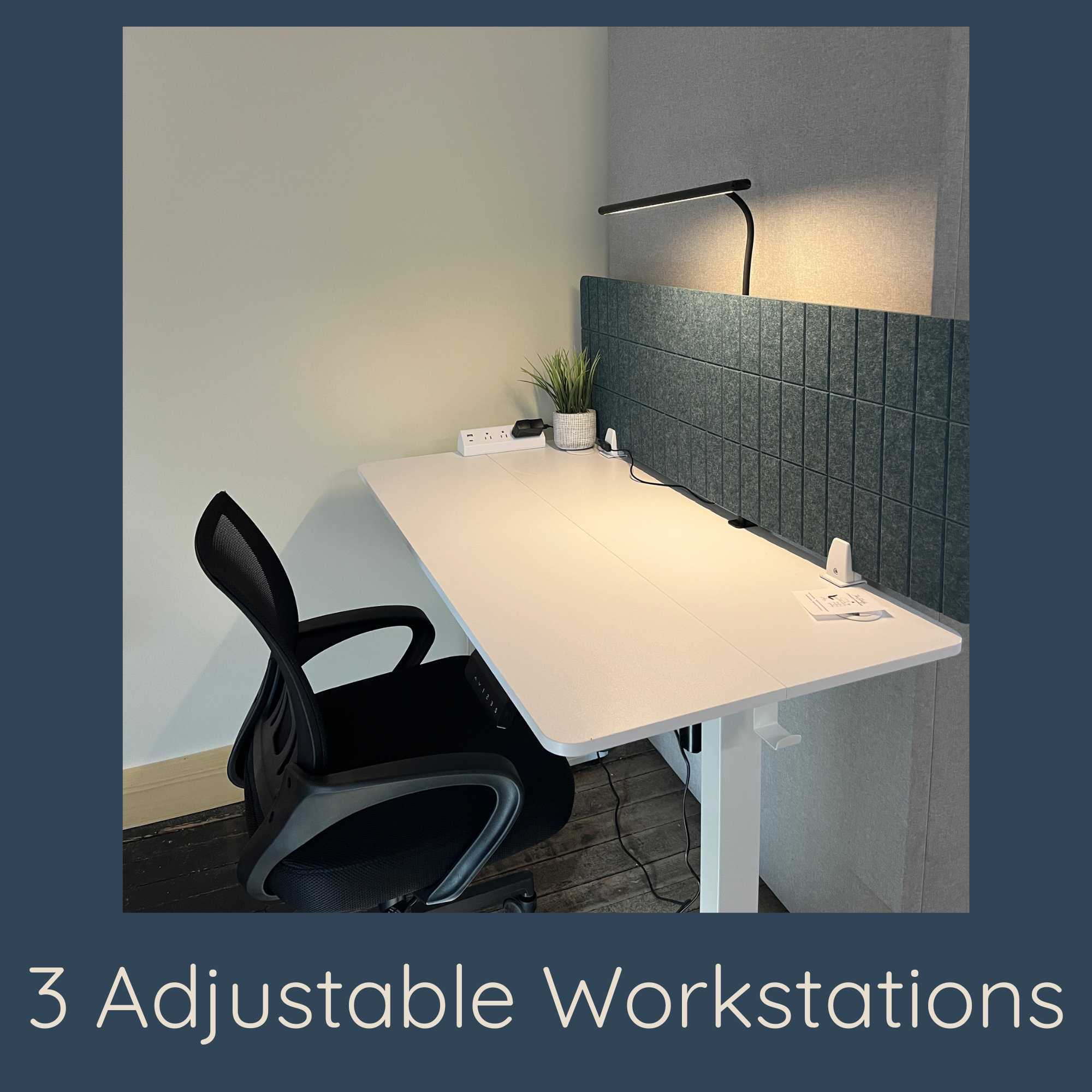 3 Adjustable Workstations: "Height-adjustable standing desk with an ergonomic office chair and a privacy divider"