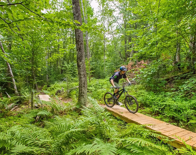 Rider on a flow trail at Freeman Ridge Bike Park, a mountain biking destination in Freeman Township, Maine